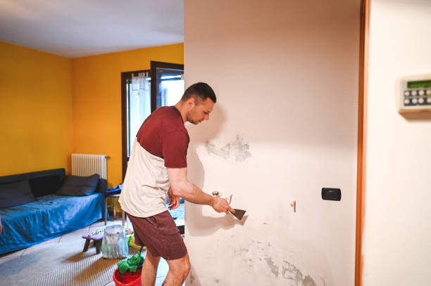 Best DIY Mold Remediation Support Services in Buellton, CA